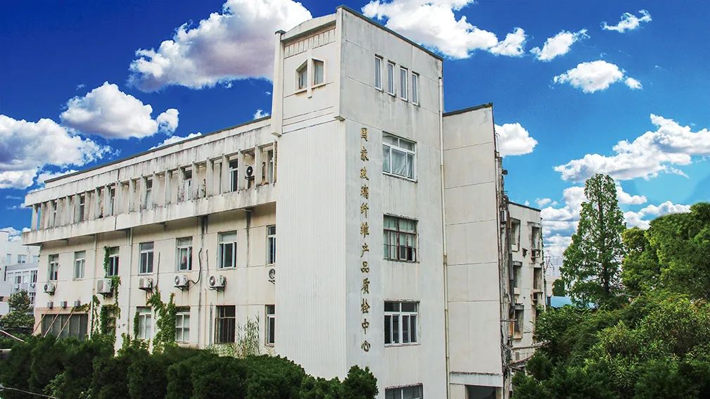 ff2c30adb3030255_1786531419406