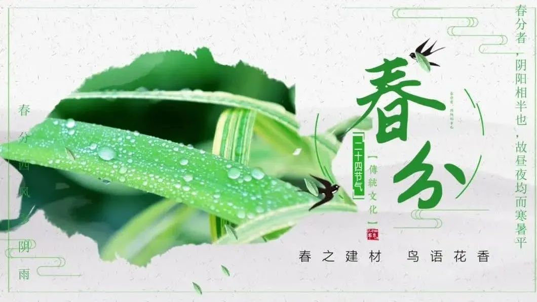 今日春分 | 春之建材，鸟语花香